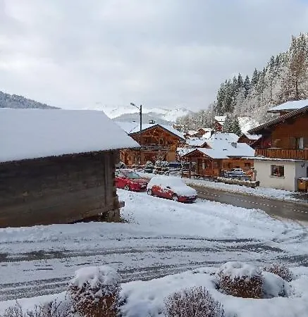 Le Morzinois