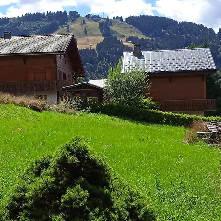Le Morzinois