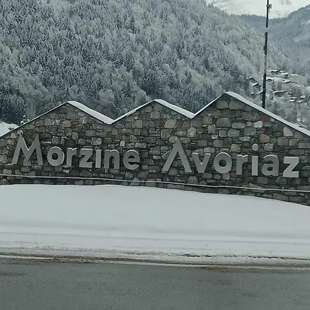 Le Morzinois Apartament *